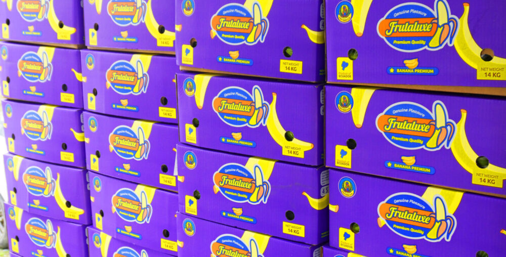 Cada imagen revela la dedicación detrás de nuestra fruta premium. Desde la selección en campo hasta el empaque final, FRUTALUXE® sigue procesos precisos y certificados para garantizar excelencia en cada envío.